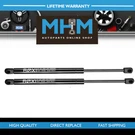 Pair Lift Supports Struts Shocks Fits Ford Explorer Mercury Mountaineer 17.69". Fixed Price $26.83.