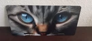 Cat Eyes Novelty License Plate. Fixed Price $14.95.