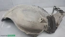 2007-14 Mercedes CL550 CL63 Amg Front Left Inner Fender Liner Splash Shield Oem. Fixed Price $112.00.