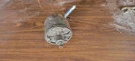 1966-67 Ford Mustang Mercury Cougar Power Steering Pump C5AR-3D609-A Fomoco. Fixed Price $65.00.