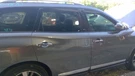 Passenger Rear Side Door Electric Platinum Fits 16-20 Pathfinder 5067864. Fixed Price $490.00.