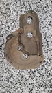 1967 1968 Mustang Shelby Cougar Orig A/c Hose Firewall Brackets. Fixed Price $45.00.