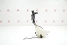 07 2005-2008 Acura Rl Sh-awd Windshield Washer Bottle Used Oem (06768-SJA-A01). Fixed Price $49.99.