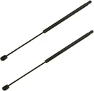 2PCS 17.84 In Rear Back Lift Supports Compatible With Ford 1997-2002 Expedition. Fixed Price $20.98.