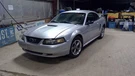 Reinforcement Rebar Rear Bumper Base Fits 99-04 Mustang 109580. Fixed Price $189.00.