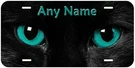 Cat Eyes Any Name Text Personalized Novelty Car License Plate. Fixed Price $19.89.