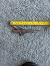 Original Oem Ford Thunderbird Fender Emblem V8 Bj 16229 16221. Fixed Price $12.00.