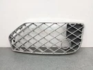 3SE807796 Right Bumper Grille / 1065801 For Bentley Flying Track ZG2 6.0. Fixed Price $260.72.