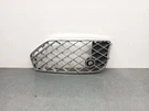 3SE807796 Right Bumper Grille / 1065800 For Bentley Flying Track ZG2 6.0. Fixed Price $260.72.