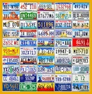 50 State License Set + Bonus Mancave Lot Usa. Fixed Price $259.00.