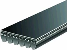 Multi Rib Belt 2007-2008, 2011-2014 Ford E150 2012 2013 V177SV. Fixed Price $34.19.