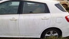 Driver Rear Side Door Canada Market Electric Windows Fits 09-14 Toyota Matrix. Fixed Price $719.99.