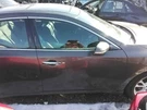 (local Pickup Only) Passenger Right Front Door Fits 09-14 Maxima 3100311. Fixed Price $184.99.