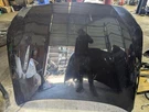 Hood Fits 10-17 Bmw 535I Gt , 41617227768. Fixed Price $174.26.