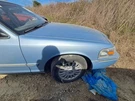 2008 Mercury Grand Marquis Right Passenger Fender Used Local Pickup Only. Fixed Price $284.95.