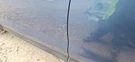 2017 Subaru Forester Lh Left Driver Front Door Oem. Fixed Price $1033.50.