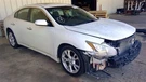 (local Pickup Only) Front Bumper With Fog Lamps Fits 09-14 Maxima 1065910. Fixed Price $370.90.