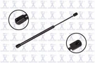 Focus Auto Parts Back Glass Lift Support N 86601. Fixed Price $13.99.