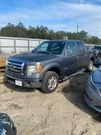 Hood Fits 09-14 Ford F150 Pickup 393821. Fixed Price $350.00.