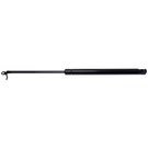 Strong Arm Lift Supports 4382R Trunk Lid. Fixed Price $46.61.