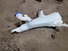 Escape 2025 Wash Reservoir 2057997. Fixed Price $129.89.
