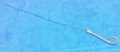 1968 1969 Ford Mustang Gt Shelby Torino Mercury Cougar Orig 289 302 Oil Dipstick. Fixed Price $59.00.