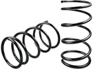 Autopart Premium 98TK74K Front Coil Spring Set Fits 1996-2002 Toyota RAV4 Base. Fixed Price $60.68.