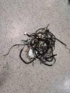 Sunroof Moon Wire Harness Fits Honda Odyssey 2005 - 2007 Oem 32155 Shj L111. Fixed Price $49.50.