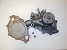 1968 Shelby GT350 & Ford Mustang 302 4V Water Pump C8OE-D Rebuilt Original. Fixed Price $295.00.