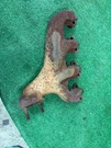 1969-1970 Ford Fairlane Mustang Cougar Lh Left Exhaust Manifold C9OE-9431-B Oem. Fixed Price $100.00.