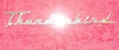 1955 1956 Ford Thunderbird Orig Rear Quarter Panel Script Emblem Ornament. Fixed Price $69.00.