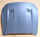 New Oem Genuine Ford Hood 2018-2023 Mustang Never Installed JR3Z-16612-A. Fixed Price $795.00.