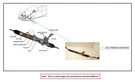 Steering Rack And Pinion Oem 22-25 Toyota Corollacs 1YR Wrnty 455100A060. Fixed Price $190.00.