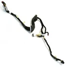 2021-2025 Ford Bronco Sport Oem Tailgate Wire Jumper High Mount Stop Lamp. Fixed Price $58.65.