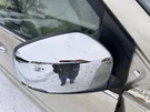 Passenger Side View Mirror Power Electric Chrome Fits 09-14 Routan 554318. Fixed Price $129.89.