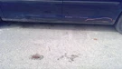 Odyssey 2009 Rocker Panel Moulding 401829. Fixed Price $75.00.