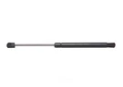 Liftgate Support. Fixed Price $38.95.