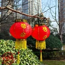 Kymy 2026 Lunar New Year Red Lanterns 2PCS 7.9" Chinese Vietnamese Korea. Fixed Price $20.00.