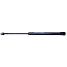 Strong Arm Lift Supports 4625 Trunk Lid. Fixed Price $35.34.