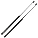 Fit For 98-10 Volkswagen Beetle W/ Spoiler 2PC Rear Trunk Lift Supports Struts. Fixed Price $24.13.
