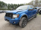 Pickup Cab Crew Without Sunroof Fits 11-14 Ford F150 1042620. Fixed Price $968.33.