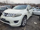 Passenger Right Front Door Without Keyless Entry Fits 09-10 Murano 1758338. Fixed Price $450.00.