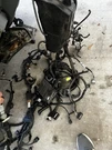 2021 - 2024 Toyota Camry Fwd 2.5L Engine Motor Wire Wiring Harness Oem. Fixed Price $280.00.