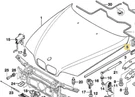 Lateral Engine Hood Sealing For Bmw E-39. Fixed Price $39.95.