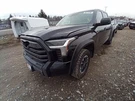 Right Passenger Tundra 2024 Wiper Arm 12732769. Fixed Price $54.02.