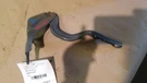 2012 Elantra Sedan Driver Hood Hinge. Fixed Price $27.50.