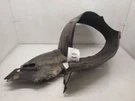 Lexus ES300, Front Right Inner Fender Liner, 97-01, 3.0L,V6, 1MZFE, 53875-33080. Fixed Price $66.99.