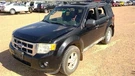Escape 2009 Hatchback Strut 302749. Fixed Price $40.00.