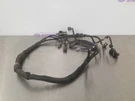 16 Toyota Tacoma Trd Offroad Sensors And Harness Rear Bumper. Fixed Price $250.00.