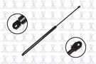 Genuine Focus Auto Parts Hood Lift Support 84630. Fixed Price $14.04.